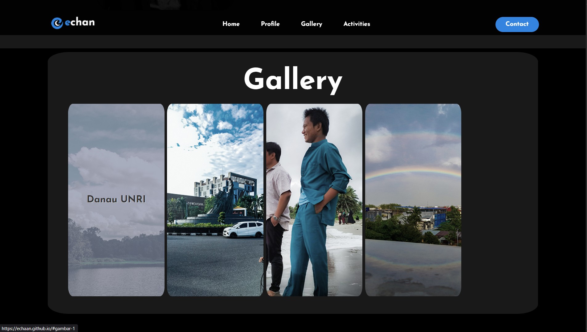 Web Profile Screenshot 3