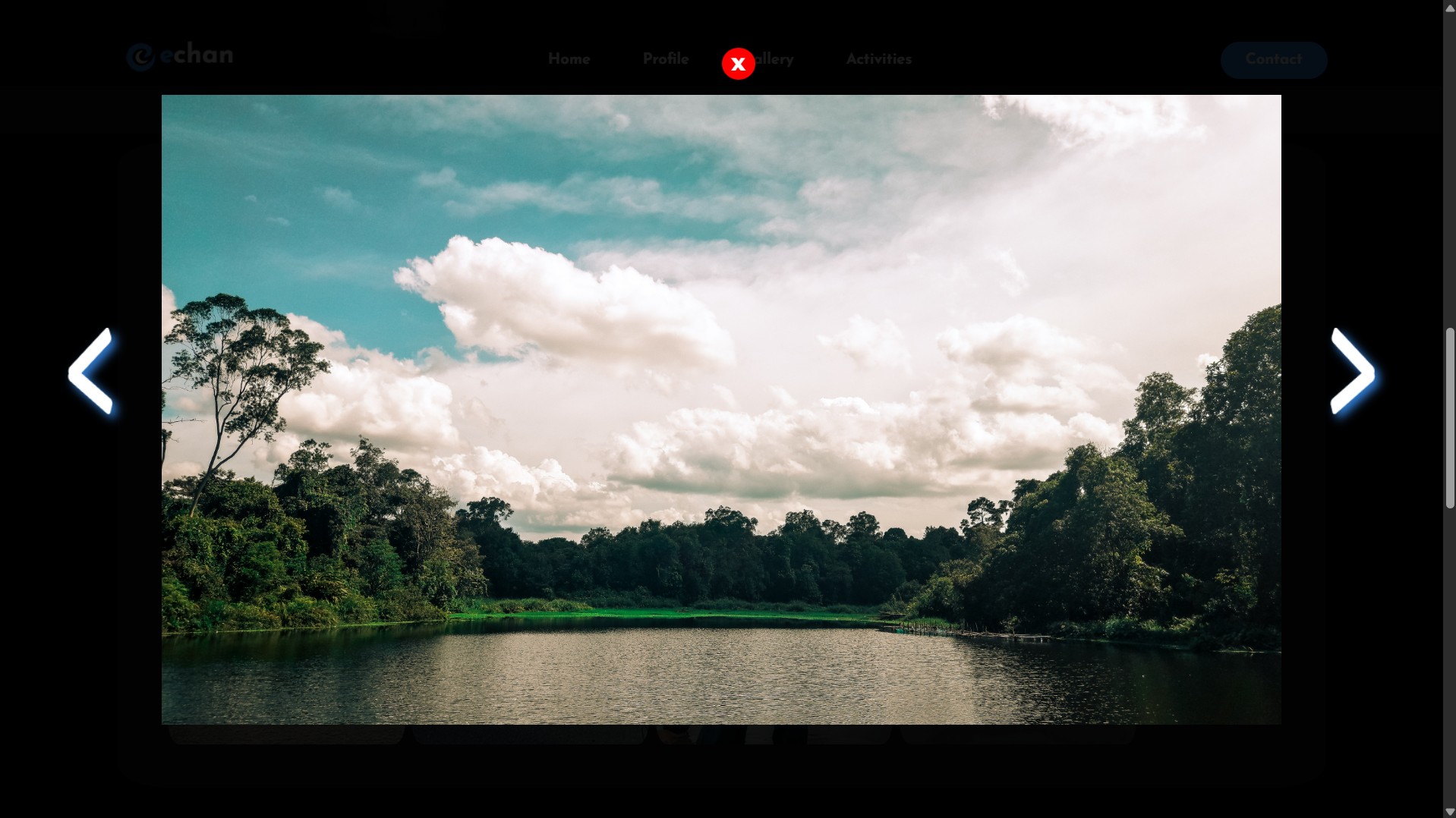 Web Profile Screenshot 4